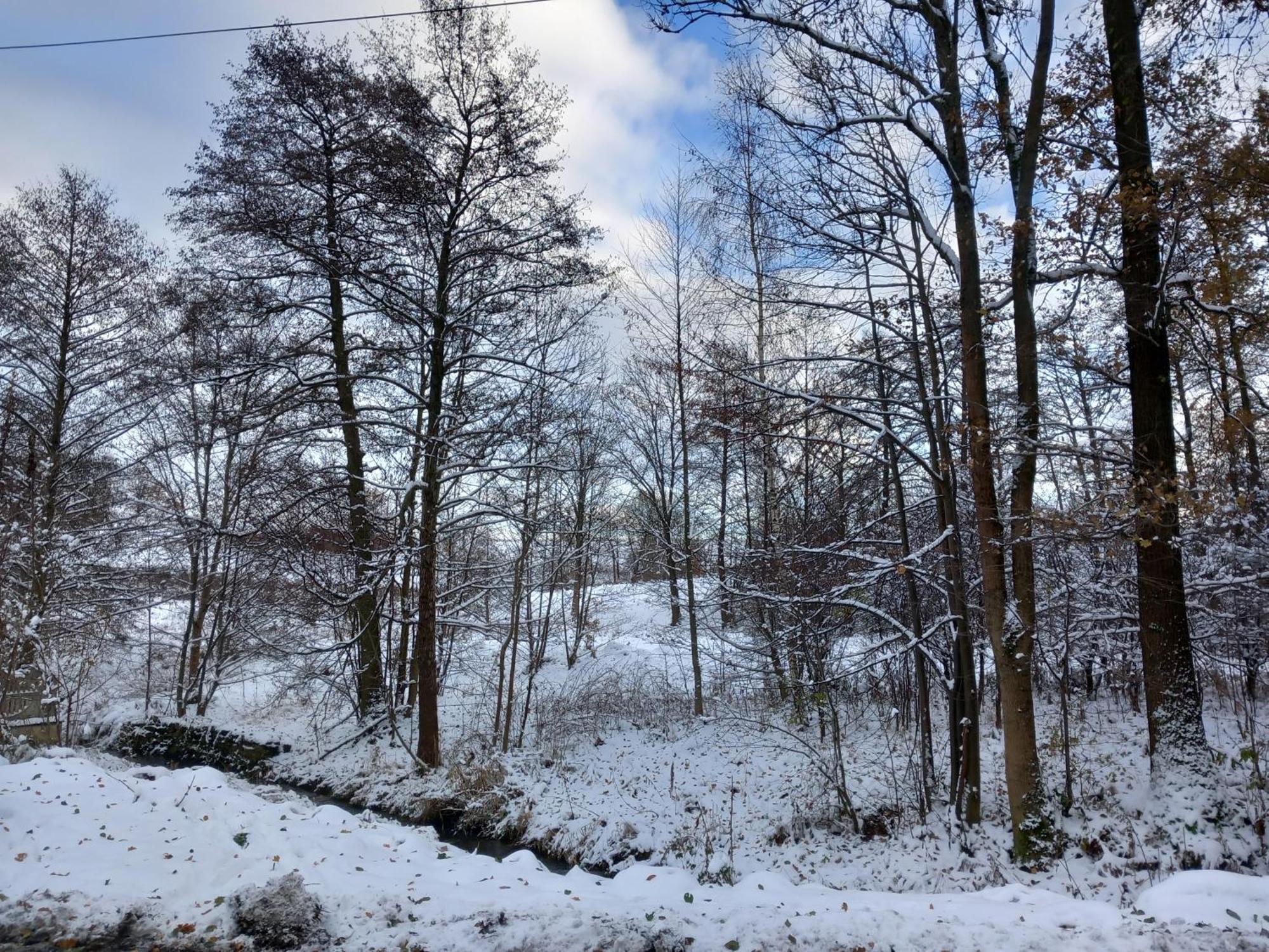Szewska Pasja Agroturystyka Wiejska Leśna Exterior foto